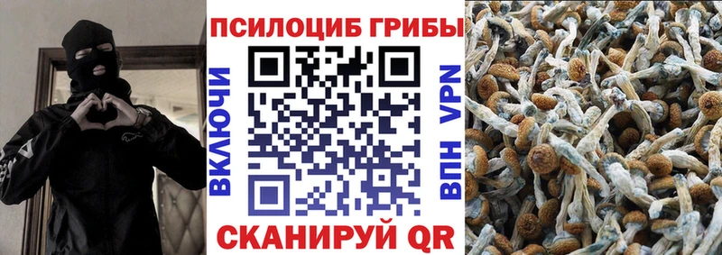 где купить наркоту mega ССЫЛКА Псилоцибиновые грибы Cubensis Никольск